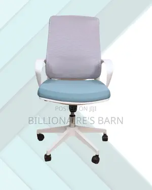 Swivel Mesh Ergonomic — Office Chair | Same-Day Delivery Available
