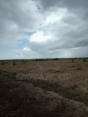 7 Acres in Mwalimu Farm
