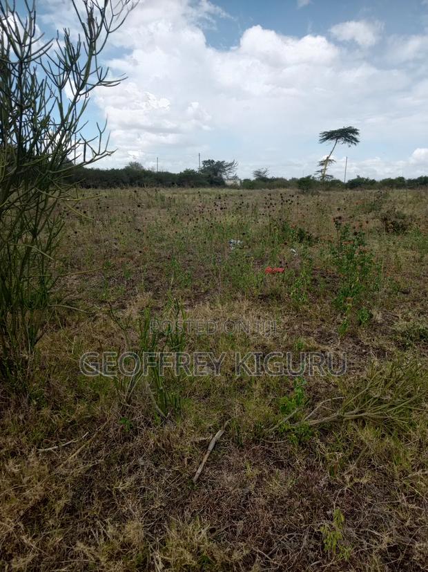 1 Acre Off the Eastern Bypass - thumbnail 2