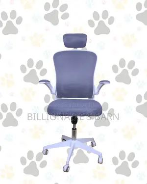 Stylish Office Moving Ergonomic (High-Back) | Delivery Available