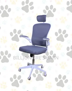 Stylish Office Moving Ergonomic (High-Back) | Delivery Available