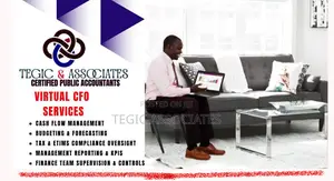 Virtual Cfo Services