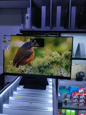 Hp P24 G5 Fhd