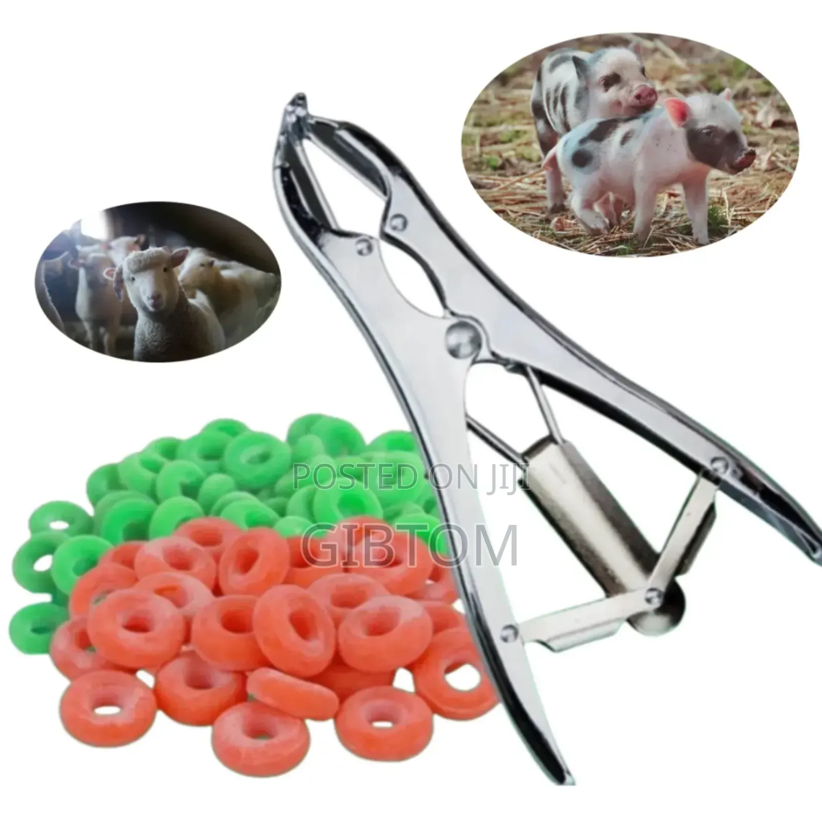 Metallic Stainless Steel Tail Docking Ring Applicator