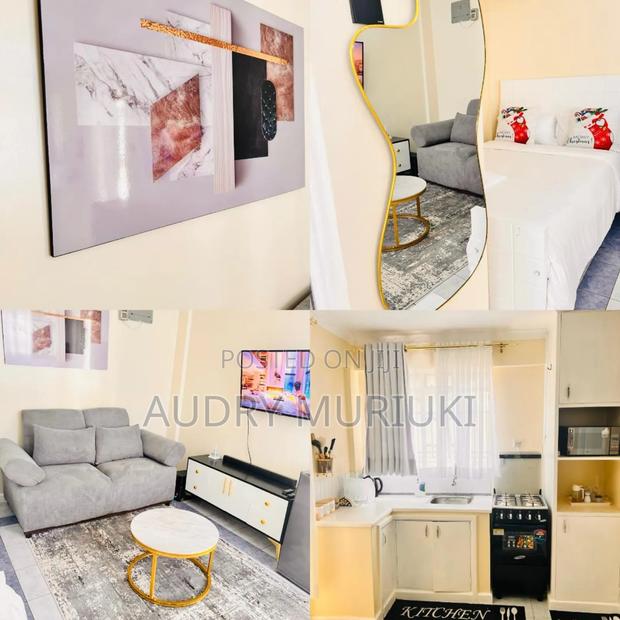 Classy Studio Airbnb Along TRM Drive Roysambu Thika Road