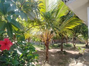 Furnished 2bdrm Villa in Watamu for rent - thumbnail 2
