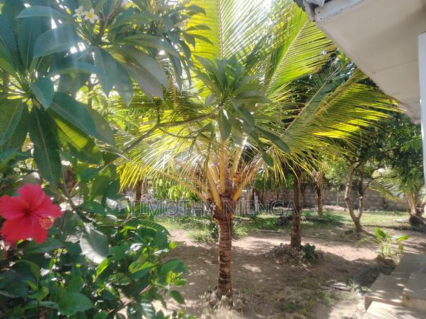 Furnished 2bdrm Villa in Watamu for rent - main view