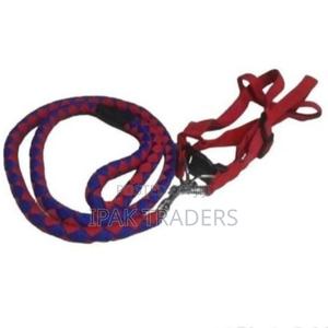 Dog Leash / Harness With CollarComplete Set - thumbnail 2