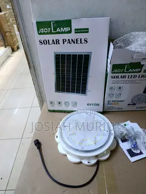 Jsot 100w Indoor Ceiling Light