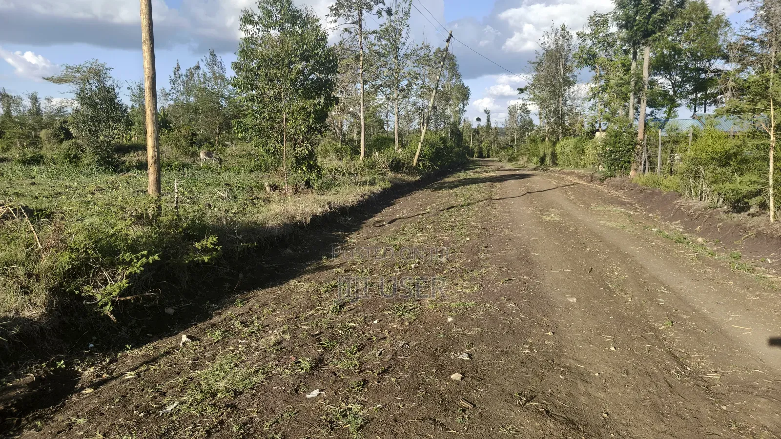 Plot for Sale at Kenol, Murang'a, Kimorori