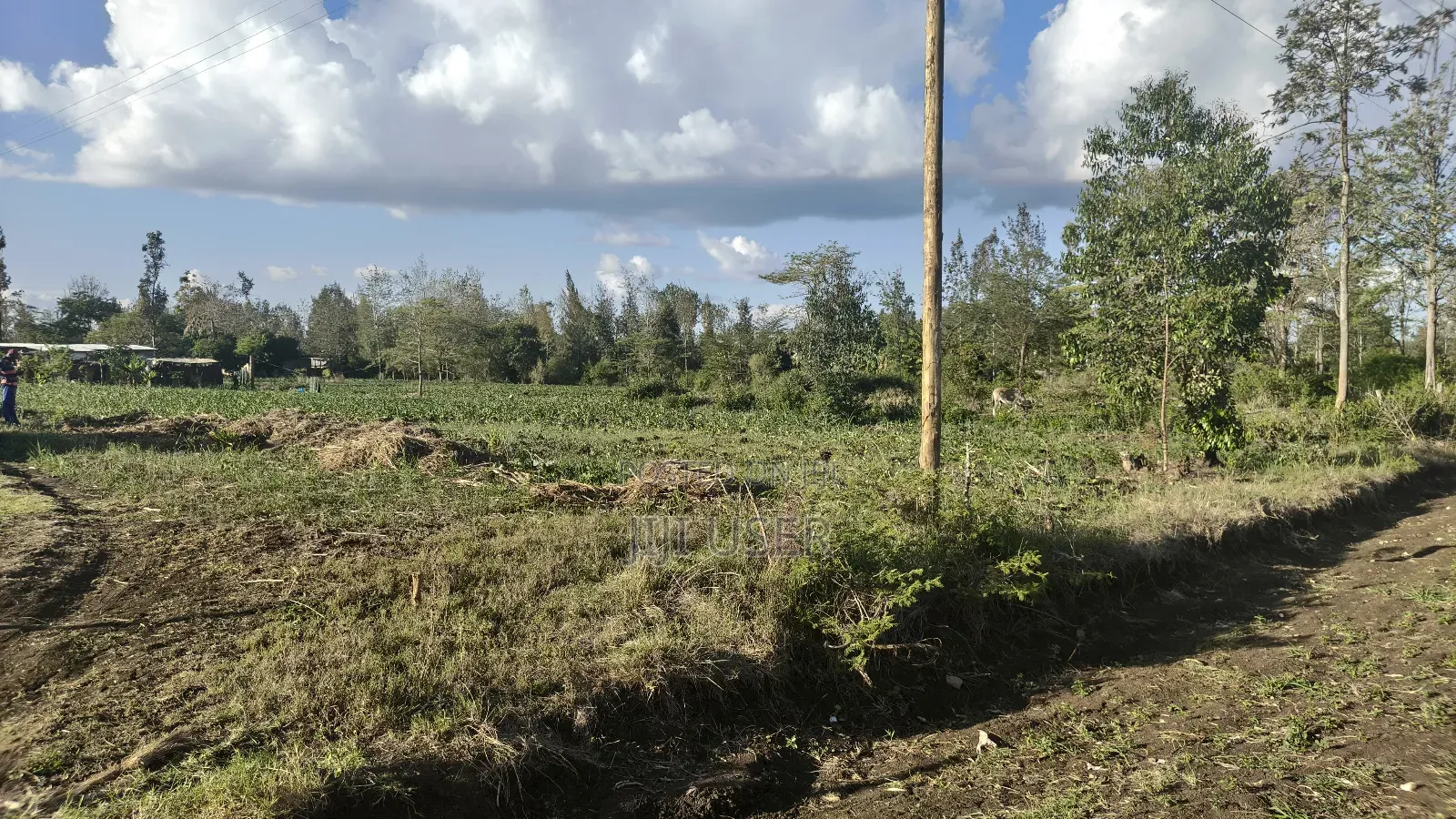 Plot for Sale at Kenol, Murang'a, Kimorori