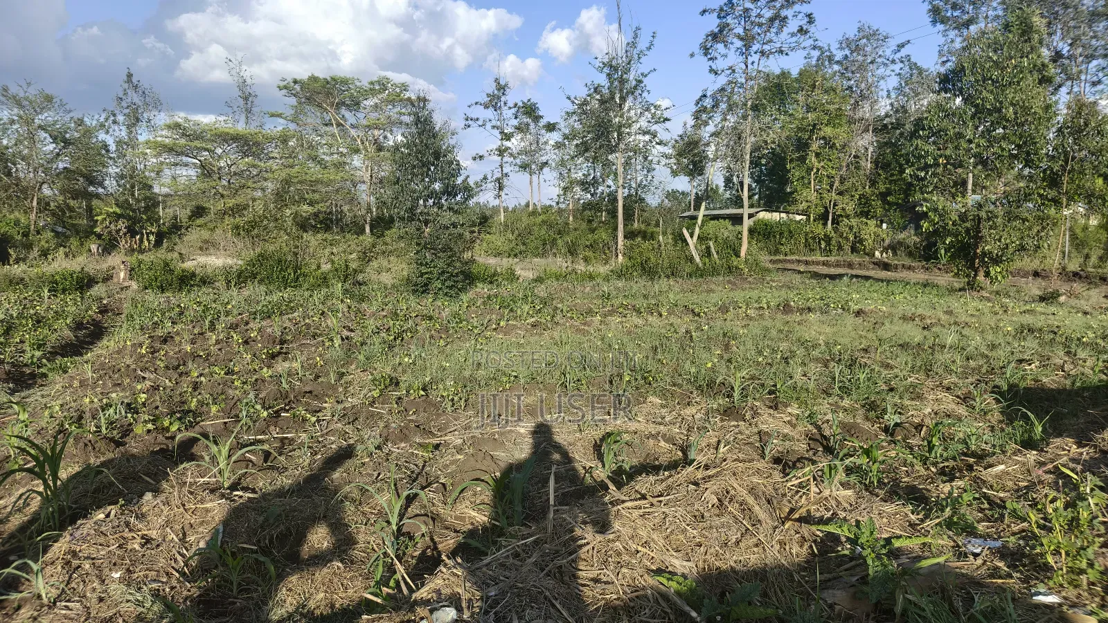 Plot for Sale at Kenol, Murang'a, Kimorori