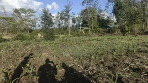 Plot for Sale at Kenol, Murang'a, Kimorori