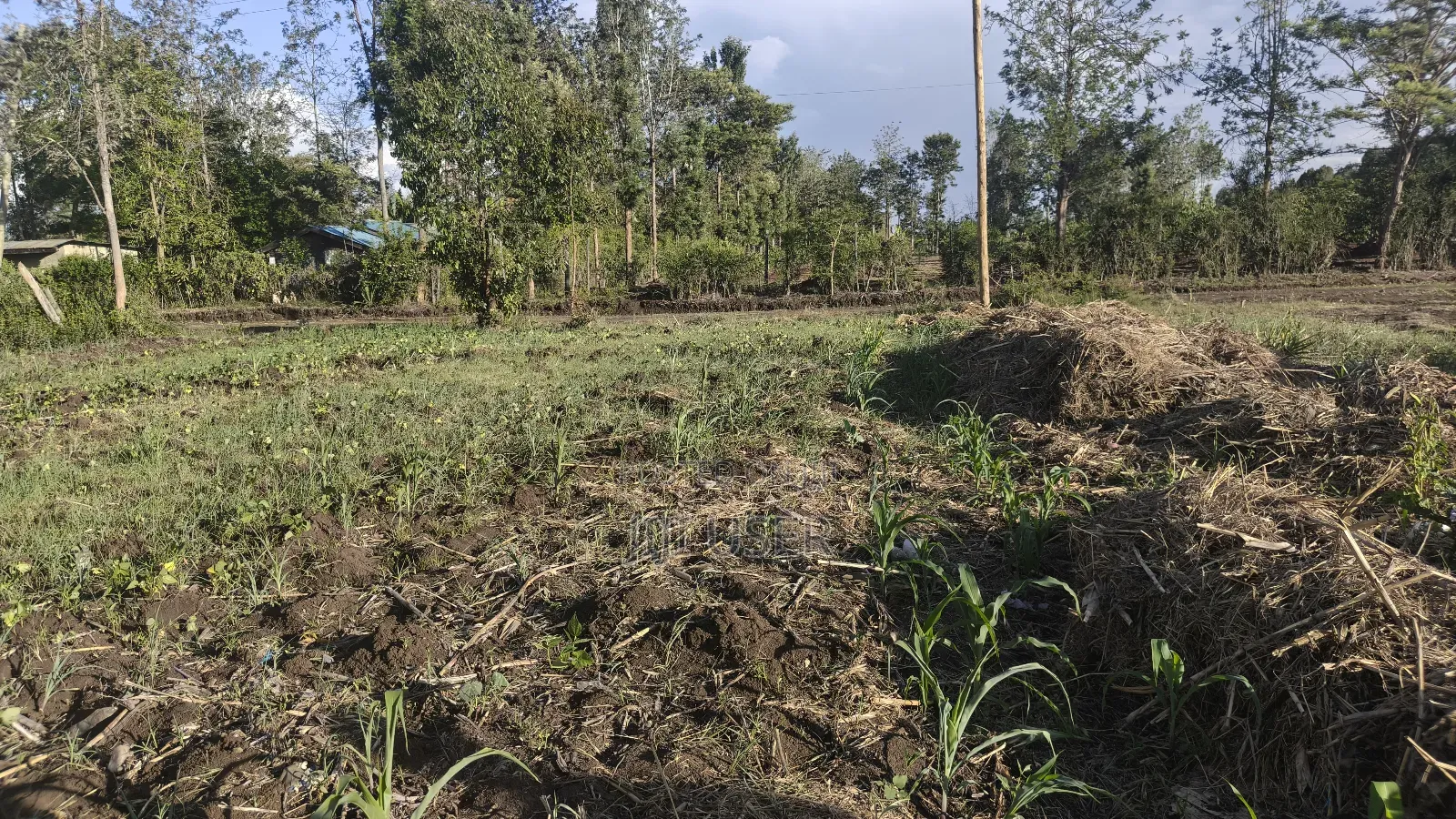 Plot for Sale at Kenol, Murang'a, Kimorori