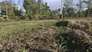 Plot for Sale at Kenol, Murang'a, Kimorori