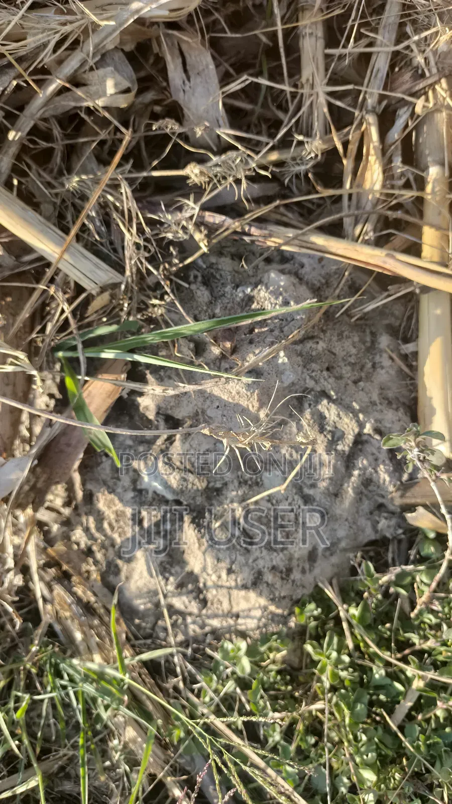 Plot for Sale at Kenol, Murang'a, Kimorori