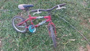 Raleigh Gecko Bicycle