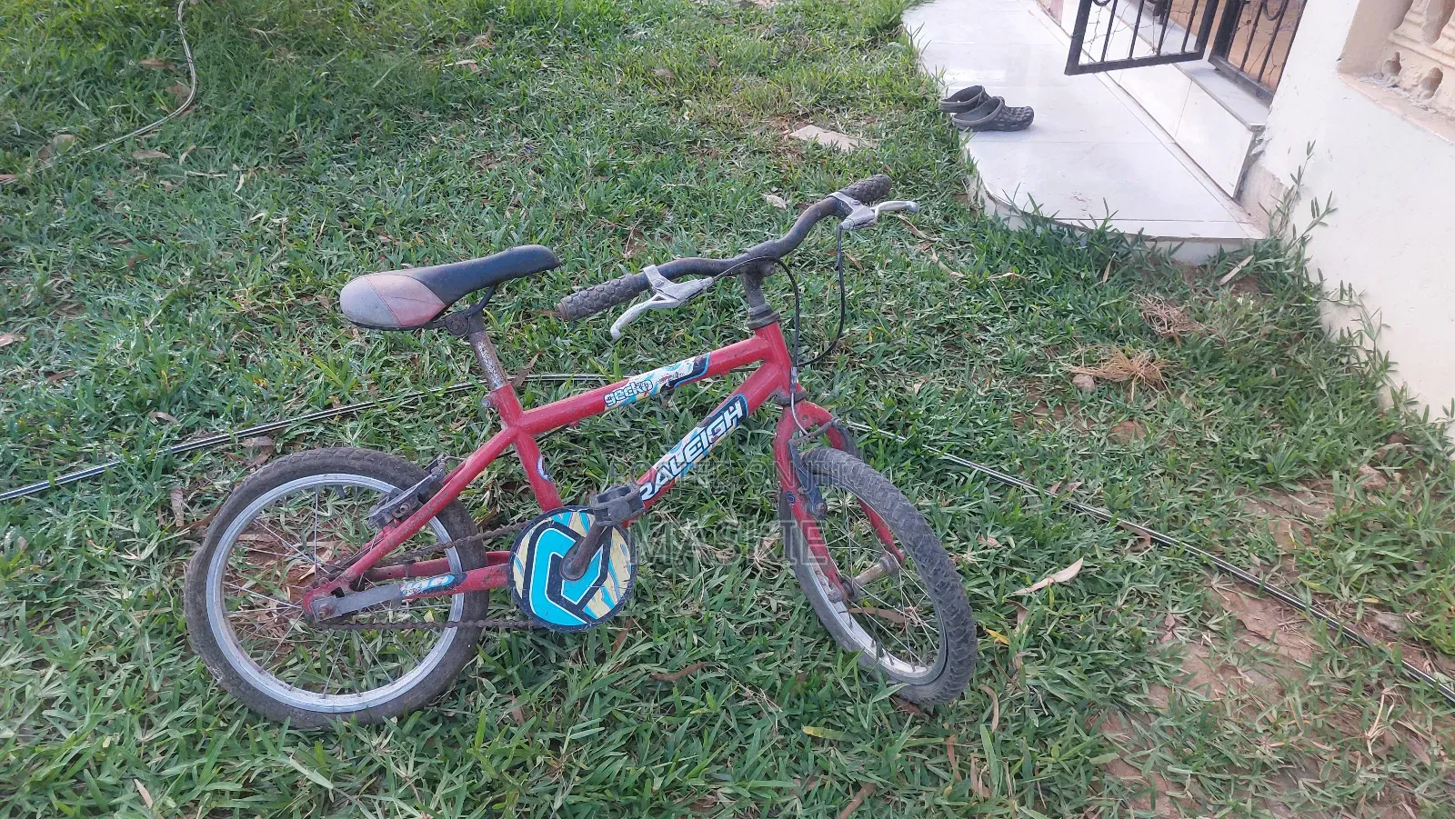Raleigh Gecko Bicycle