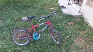 Raleigh Gecko Bicycle