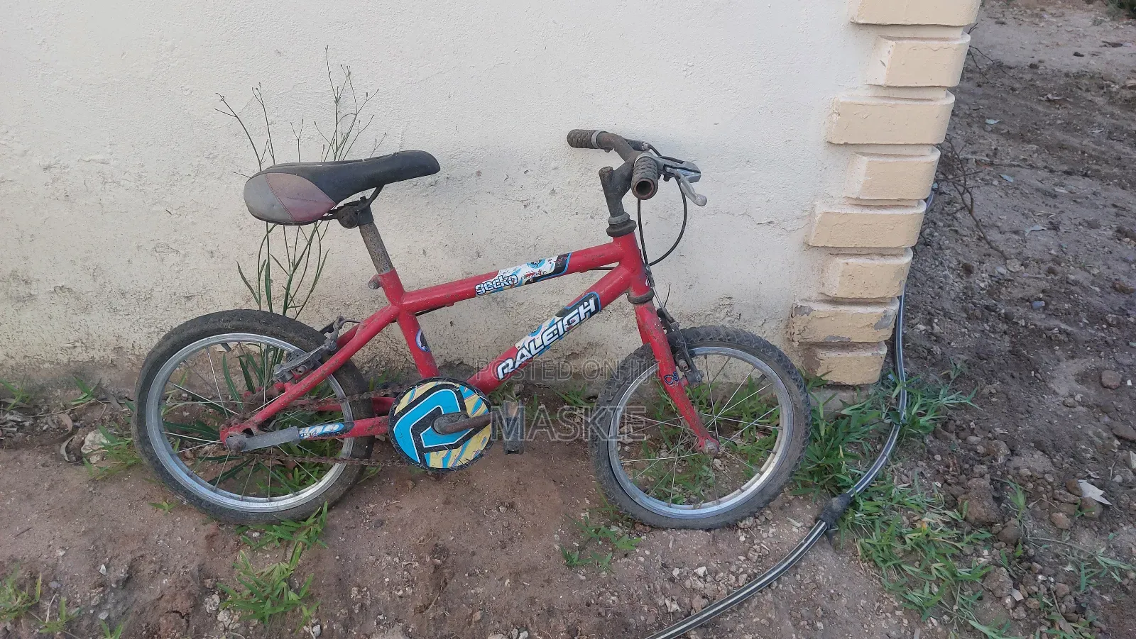 Raleigh Gecko Bicycle
