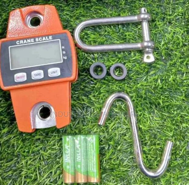 Crane Weighing Scale 300kgs - main view