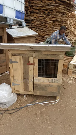 Dog Kennel