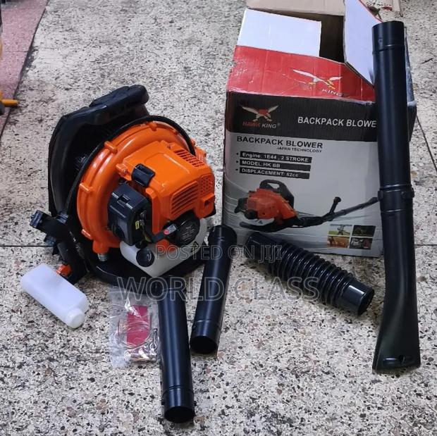 Back Pack Blower - main view