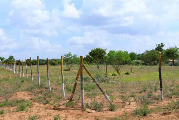 Victory Gardens Matuu -Kivandini - thumbnail 3