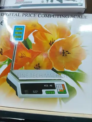 Digital Price Computing Scale/ 30 Kg Digital Scale