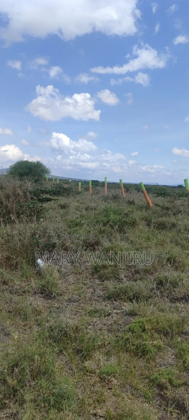 Victory Gardens Konza City Plots