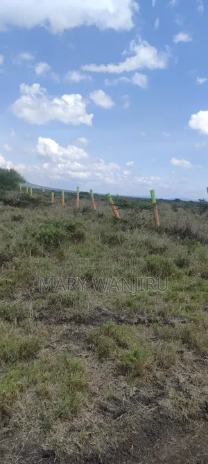 Victory Gardens Konza City Plots