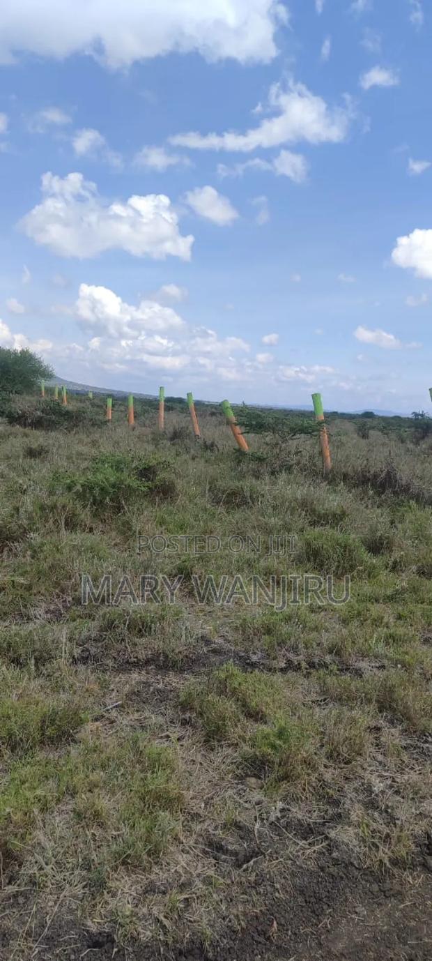 Victory Gardens Konza City Plots - thumbnail 3