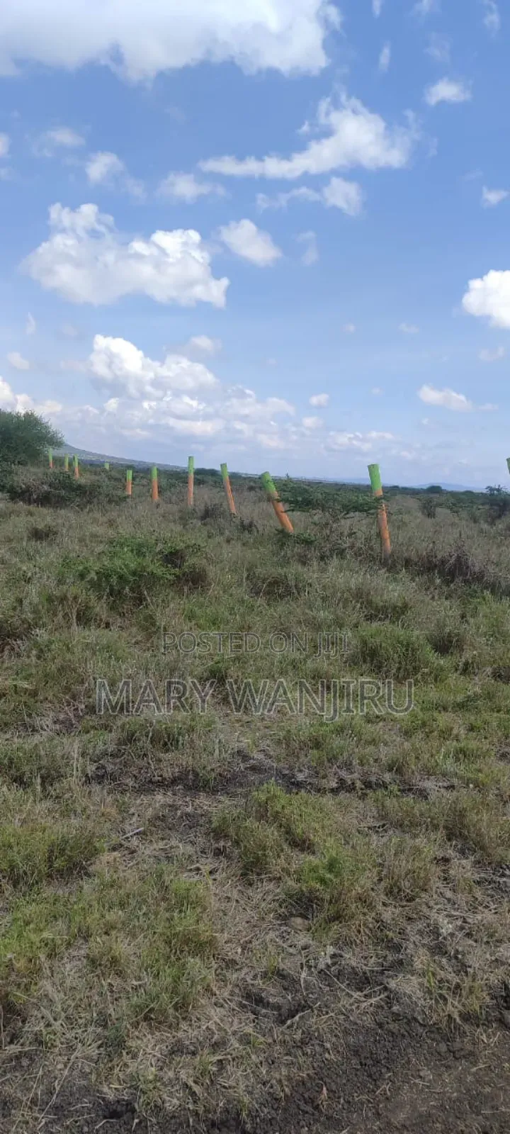 Victory Gardens Konza City Plots