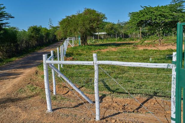 50x100 Prime Plots In Nanyuki Next To Maiyan - thumbnail 3