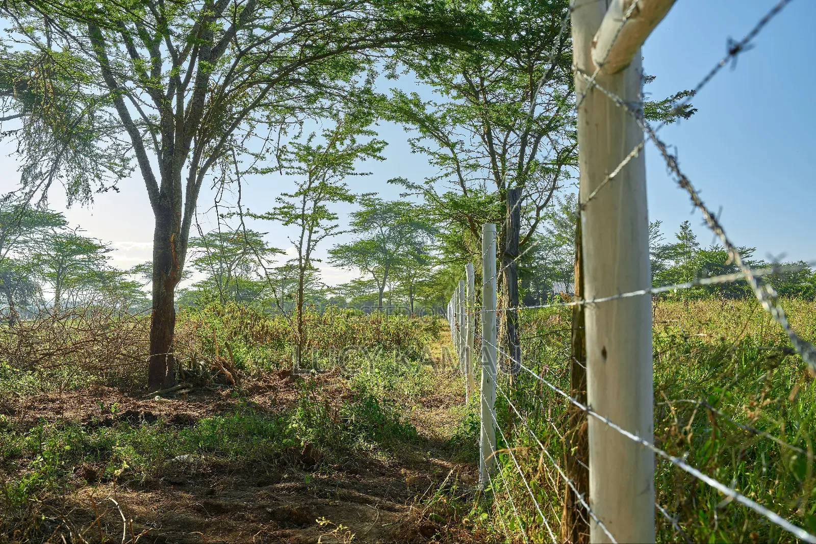 50x100 Prime Plots In Nanyuki Next To Maiyan