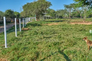 50x100 Prime Plots In Nanyuki Next To Maiyan