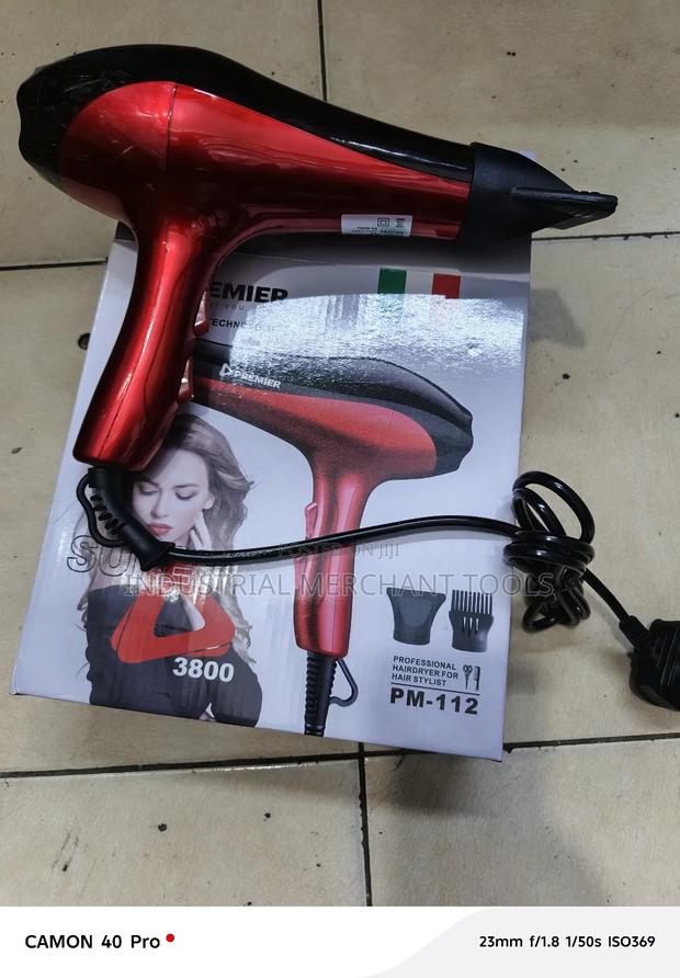 Premier Blow Dryer - main view