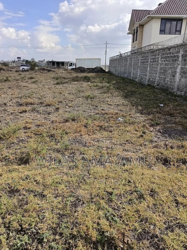 1/4 Acre Plot in Katani - thumbnail 2