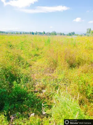 Two Acres Nakuru Lanet Munyeki.