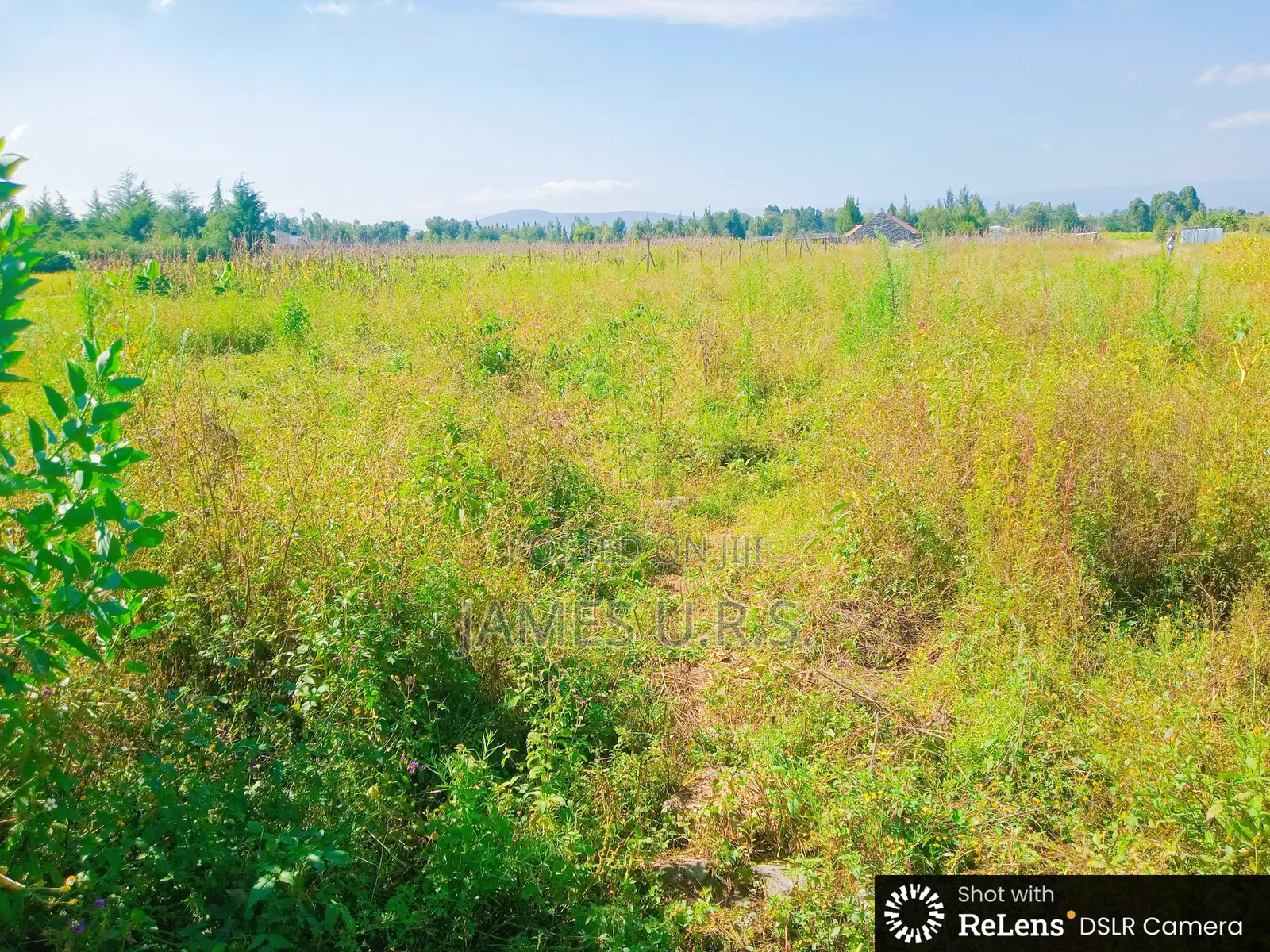 Two Acres Nakuru Lanet Munyeki.