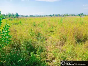 Two Acres Nakuru Lanet Munyeki.