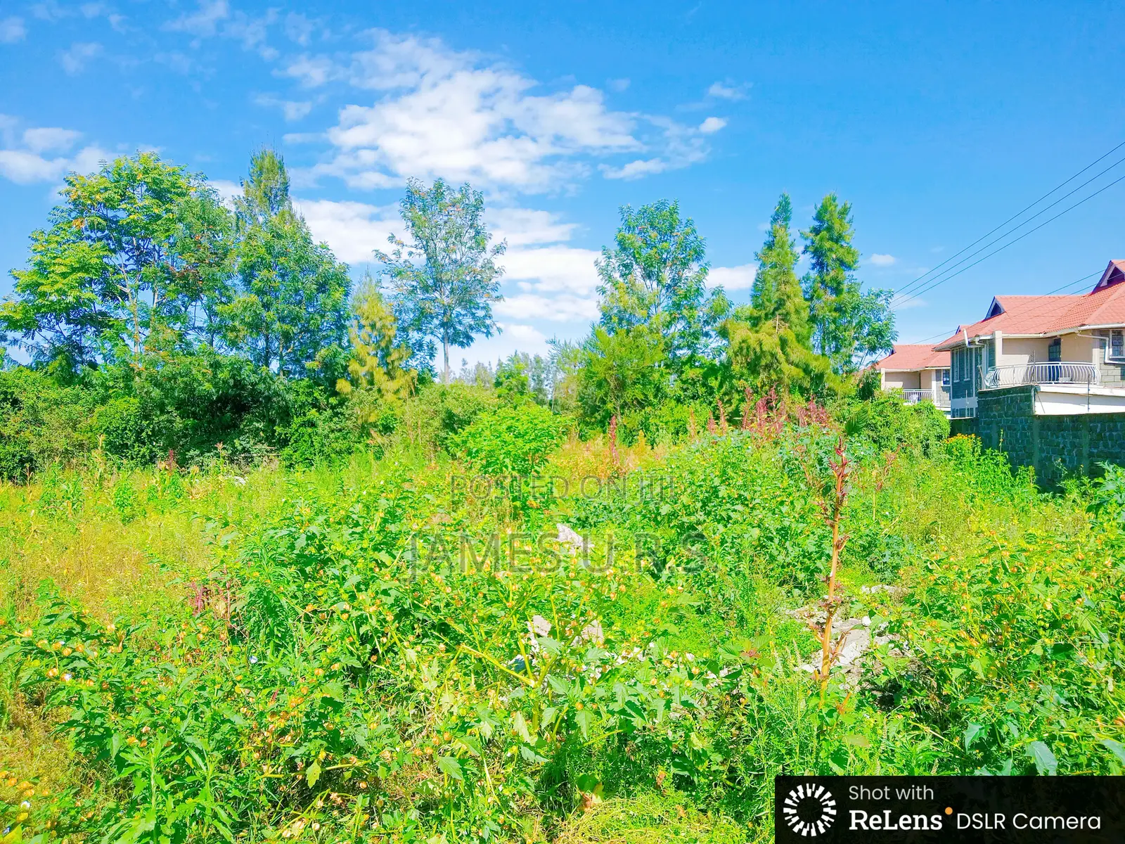 Two Acres Nakuru Lanet Munyeki.