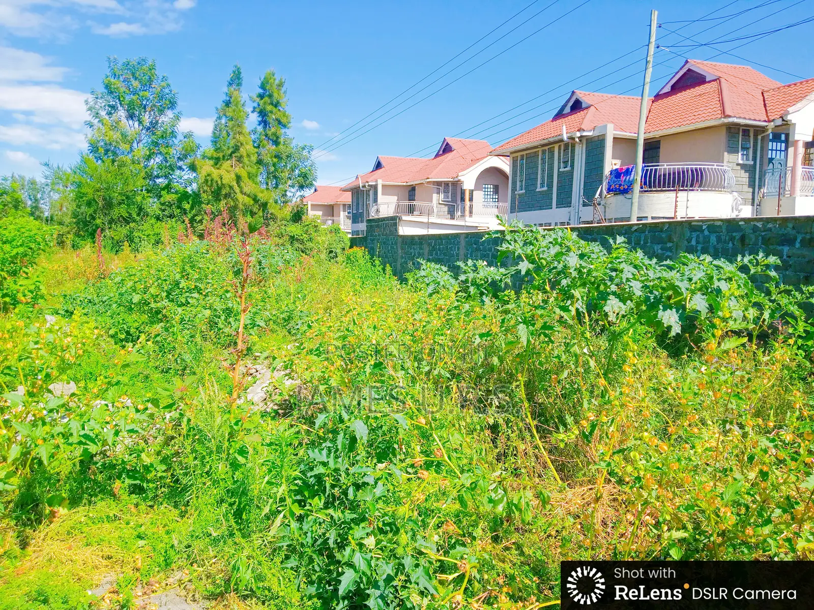 Two Acres Nakuru Lanet Munyeki.