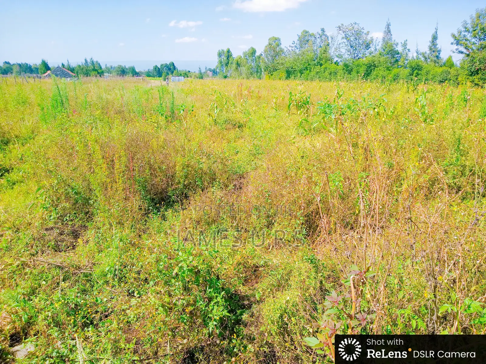 Two Acres Nakuru Lanet Munyeki.