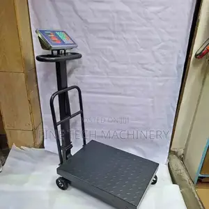 Affordable 600kg Platform Scale/Platform Weighing Scale