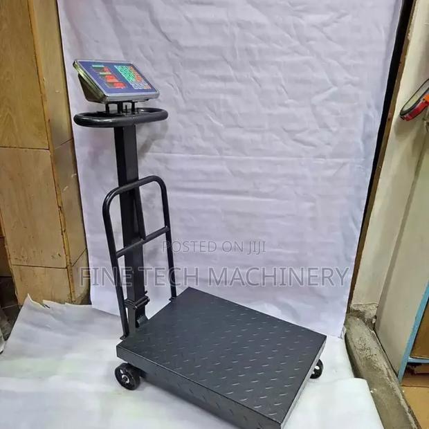 Affordable 600kg Platform Scale/Platform Weighing Scale