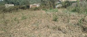 Plot 50*100 on Sale in Ndacha, Nachu Ward, Lussigetti, Kikuyu, Kiambu