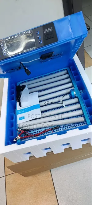 Ac and Dc Automatic Eggs Incubator 64 Eggs