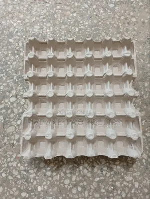 Brown Paper Tray