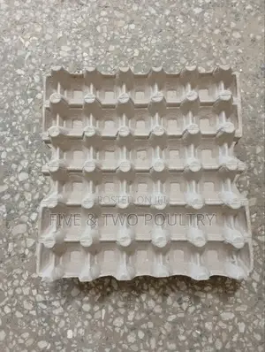 Brown Paper Tray
